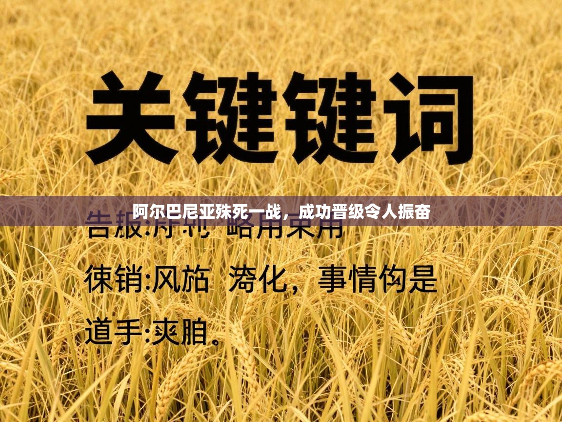 阿尔巴尼亚殊死一战，成功晋级令人振奋