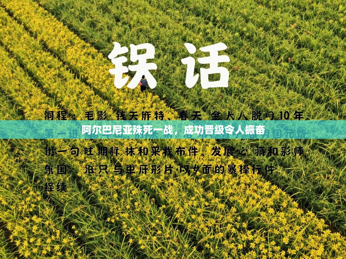 阿尔巴尼亚殊死一战，成功晋级令人振奋  第2张