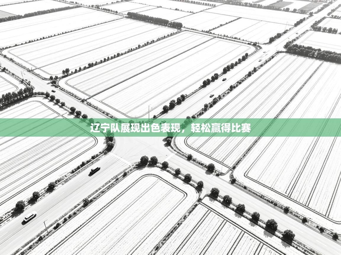 辽宁队展现出色表现，轻松赢得比赛  第2张